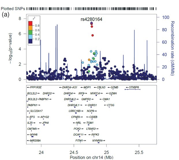 Regional association plot for the genome-wide significant association for specific language impairment on chromosome 14q12
