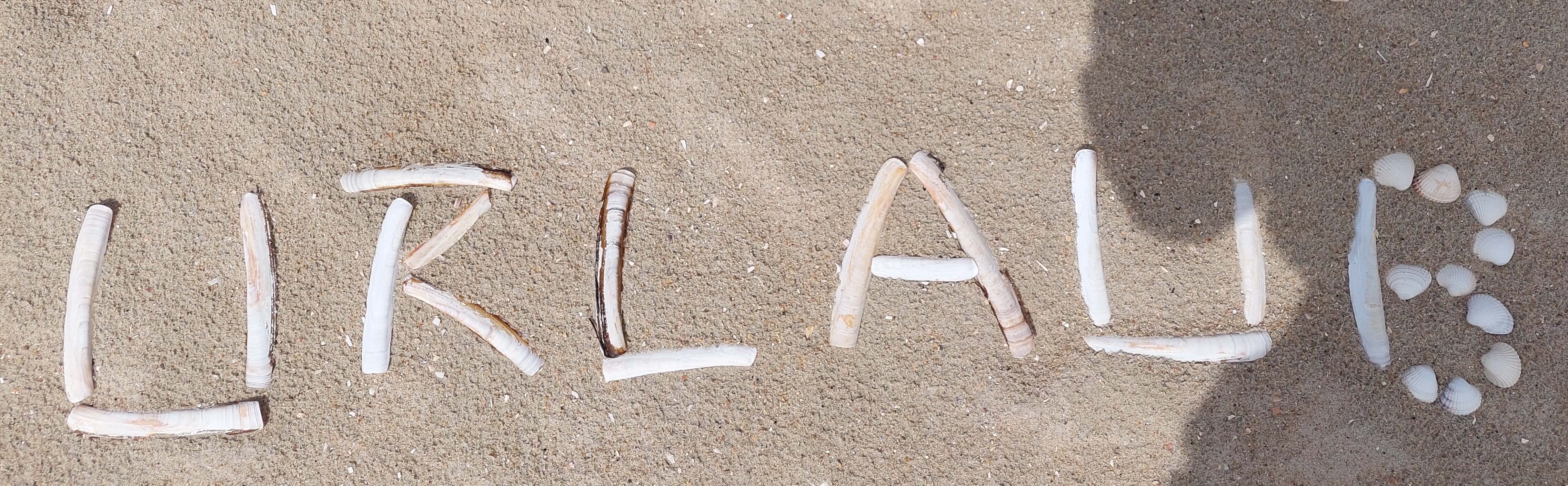 Knivmuslingeformation på stranden, der staver ordet 